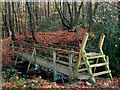 Footbridge in Banks Wood plantation