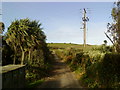 Lane at Townshill on Tresco