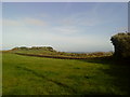 Bulb fields at Townshill on Tresco