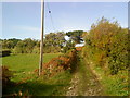 Country Lane up onto Castle Down on Tresco