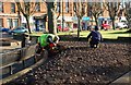 Planting Bulbs in Boydfield Gardens