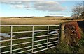 Farmland View Near Monkton