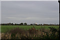 View from Stow Maries Aerodrome