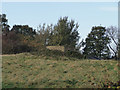 WWII Pillbox at Loddon just off the A146