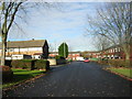 Darren Street - Dudley Street