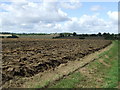 Ploughed Field