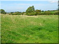 Grazing land, Thimbleby