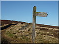 SK1889 : Sign and footpath by Graham Hogg