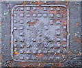 Manhole cover, Belfast