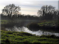 Fishpond near Rokemarsh