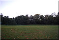 Playing field, Whitgift School