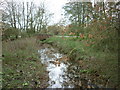 The stream at Bracey Bridge