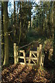 Footbridge in Ley Park