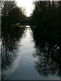 TQ1467 : The River Mole at East Molesey: mirror water by Stefan Czapski
