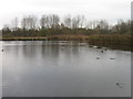 Pond at South Kirkby Marsh