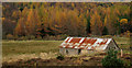 Barn with corrugated metal roof near Dallauruach