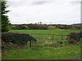 Pasture land in drumlin country west of the Kilmegan Road