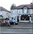 Vets and hairdressers, Glasllwch Lane, Newport