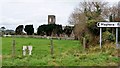 Kilmegan Graveyard from the Wateresk Road