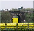 Railway Arch near Doe Green