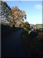 Minor road leading to the Groes Inn