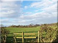 Fields at Brackenhill Farm