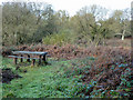 Picnic table, Ditchling Common country park