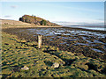 Beauly Firth shore 