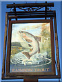 Rainbow Trout sign