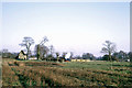 Train in the nursery landscape, Bressingham, 1969