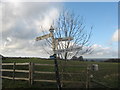 Signpost at crossroads