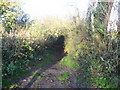 The Limestone Link footpath to White Hill