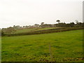 Fields near Borough Farm, Tresco