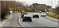 Crawler lane near Downpatrick (1)