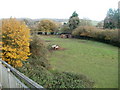 Feeding time, Wenvoe