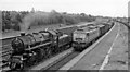 Contrasts in freight trains at York Racecourse Station