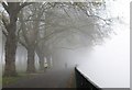 TQ2475 : Fog, Wandsworth Park by Derek Harper