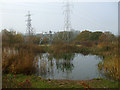 Pond in Wheatley Wood