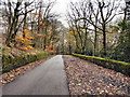 Deene Road, Smithills Country Park