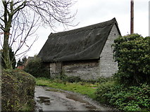 TM4180 : Thatched barn at Stradbroke Town Farm, Westhall by Adrian S Pye