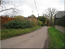 SU6445 : College Lane near Ellisfield by Mr Ignavy