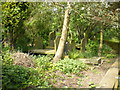 Former church, Pecket Well, Graveyard