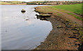 Track, Strangford Lough