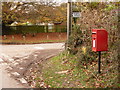 Frogham: postbox № SP6 289