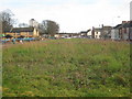 Wildflower meadow at the end of the autumn