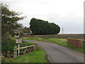 Church Road bridge over Hoorne