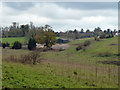 View towards Courtlands Stud