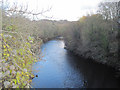 River Dee downstream from Newbridge