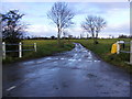 Hares Lane, Mill Common