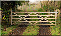 Gates and track near Downpatrick